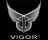 Vigor_Logo_small_1.JPG