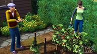 Sims3_Green_Thumb_small.JPG